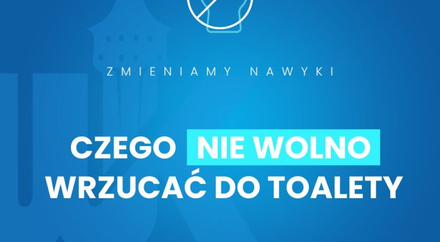 Czego nie wolno wrzucać do toalety